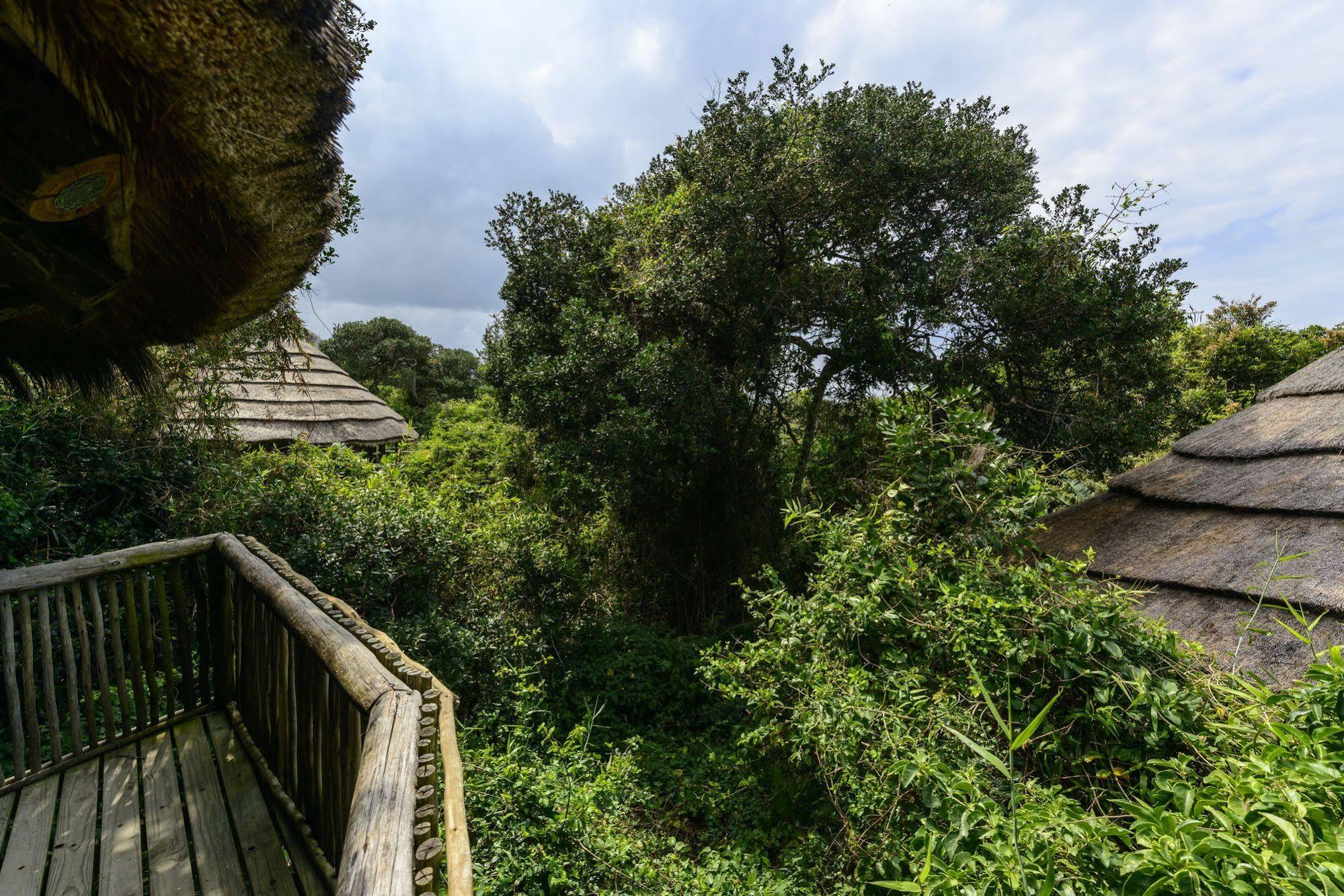 Thonga Beach Lodge Mabibi Eksteriør bilde